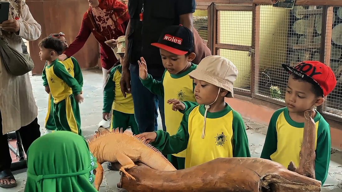 Mini Zoo Experience